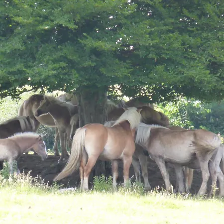 Domaine Le Bois De L'espaud