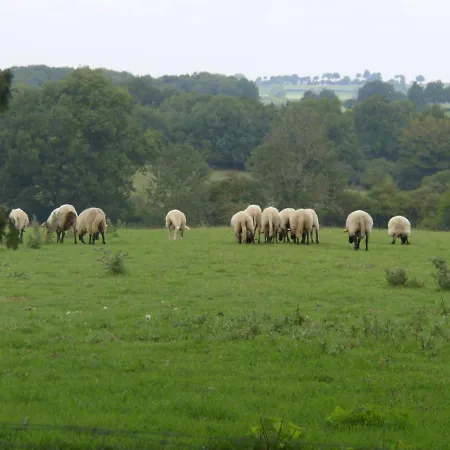 Domaine Le Bois De L'espaud Tronget
